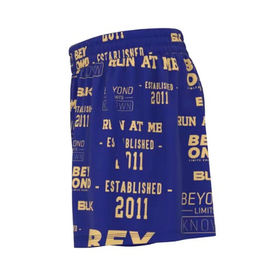 アイコンショーツ 詳細画像 ネイビーxゴールド 3